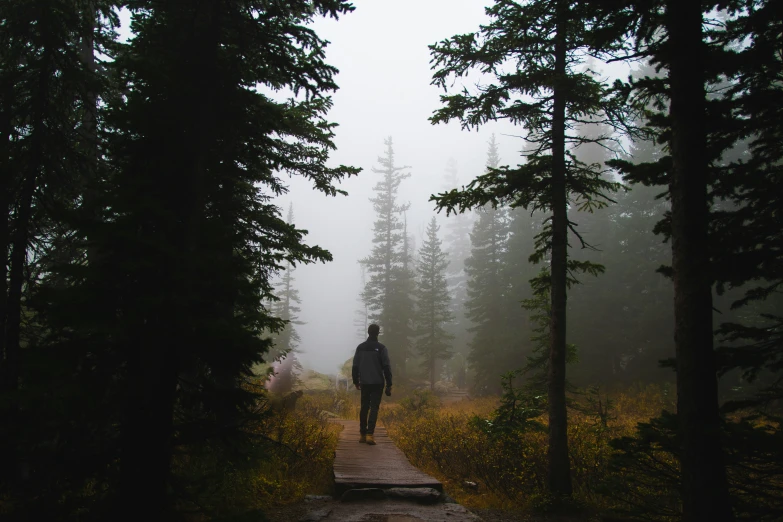man walking on a trail through the woods in fog
