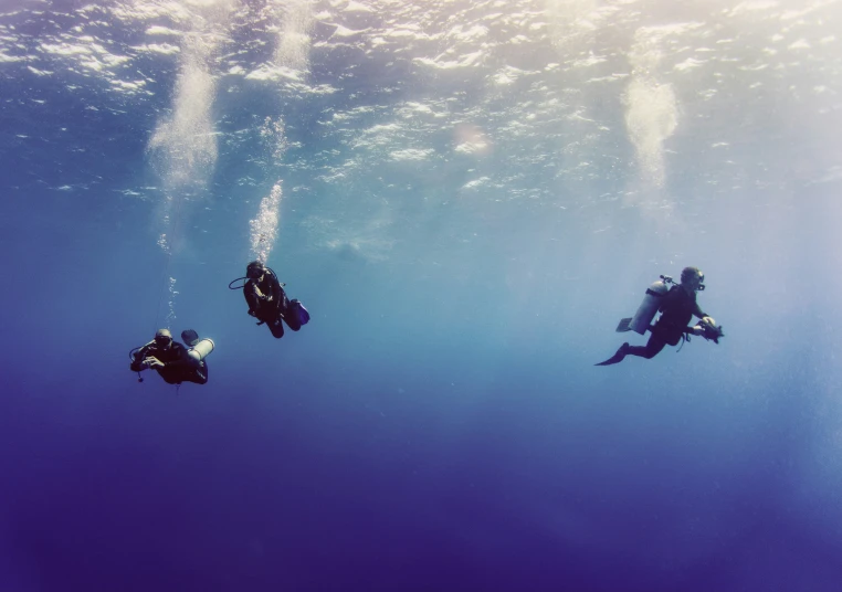 three divers are swimming in the ocean with two of them wearing scuba gear