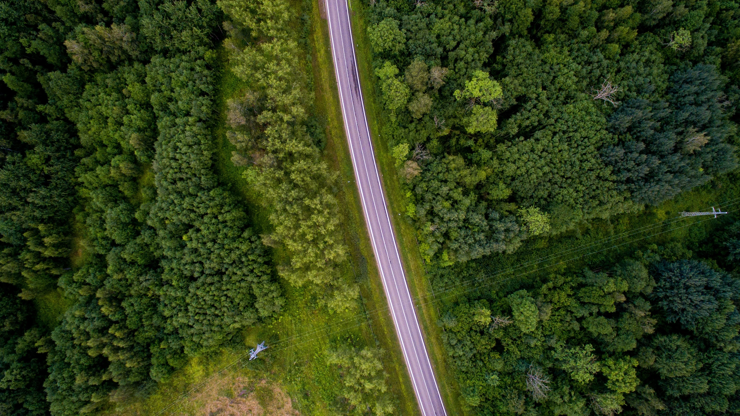 a long road in the middle of trees, and another view from above