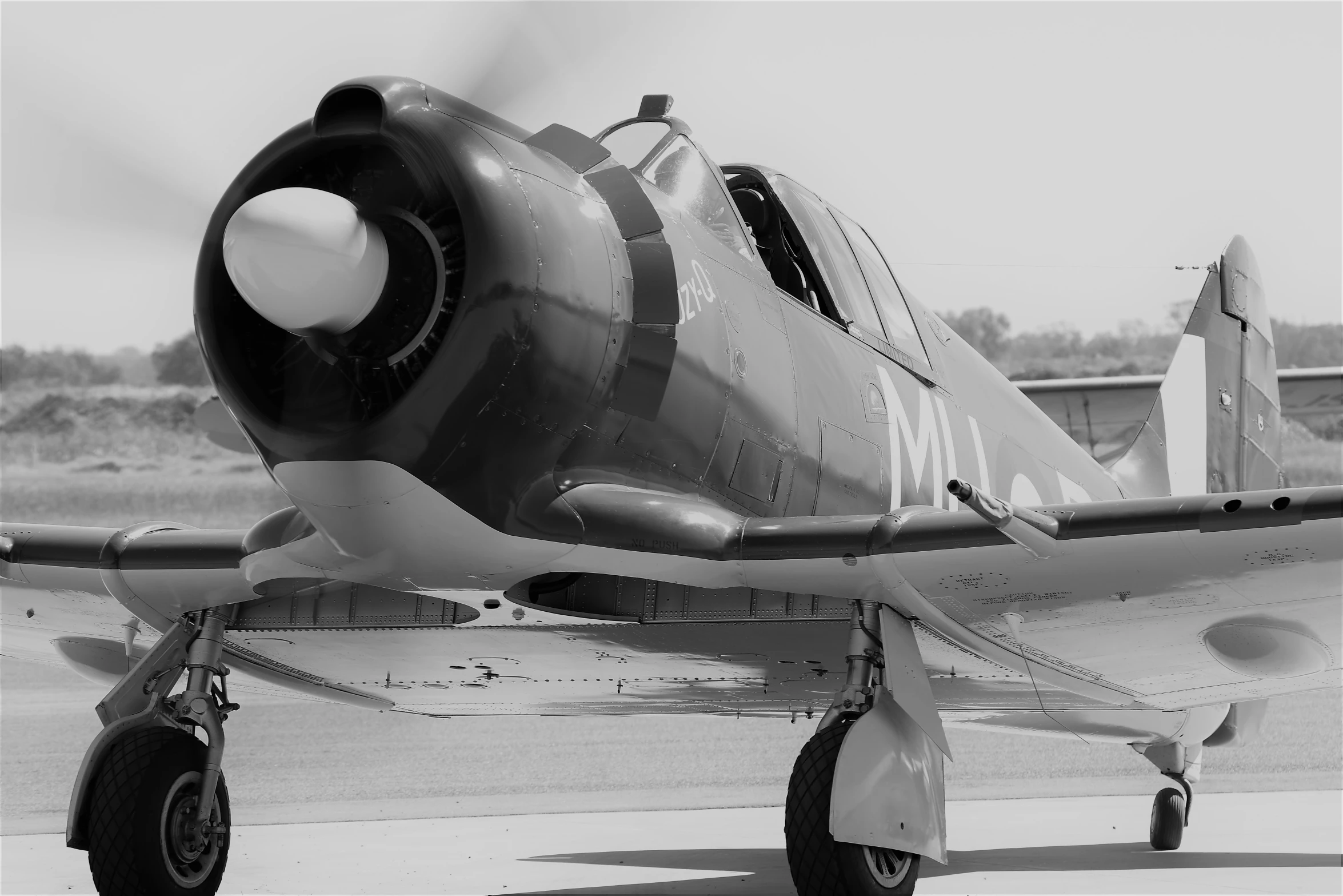 a black and white po of a plane on a runway