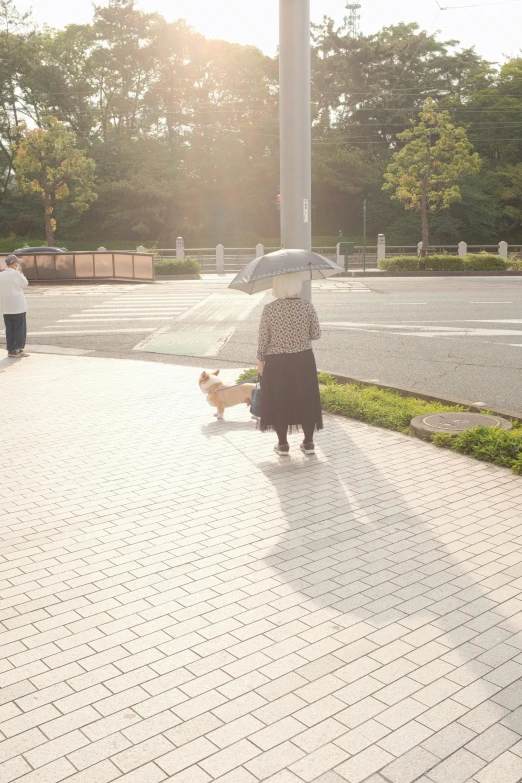 a person walking a dog down the street holding an umbrella