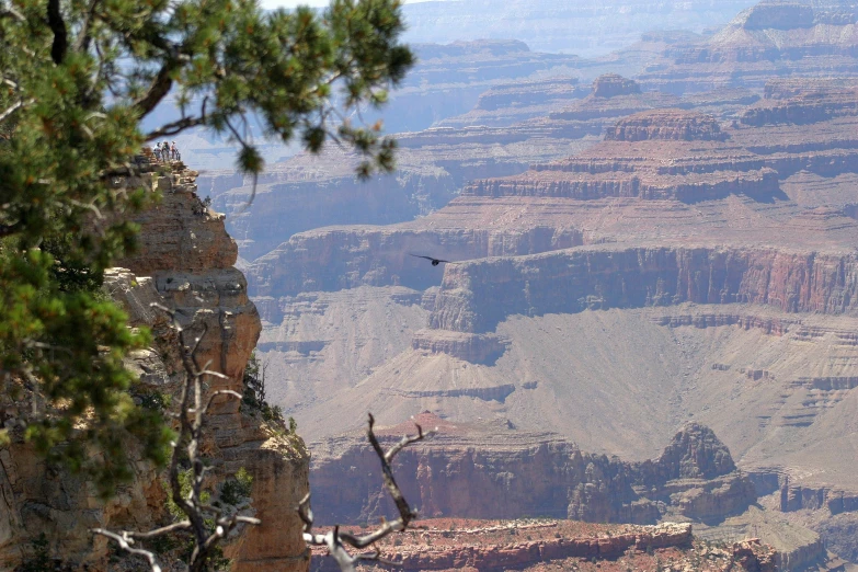 there is a bird flying high on the mountains