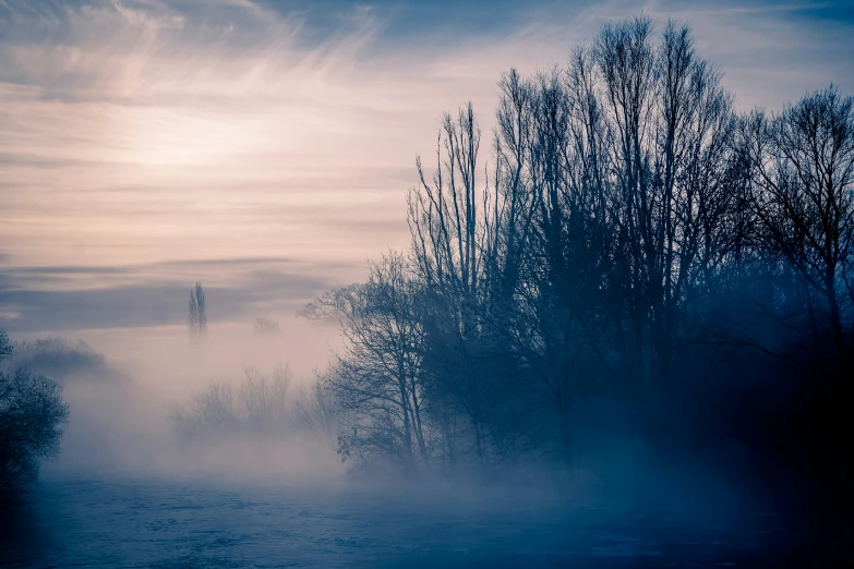 there are trees, mist and fog near the water