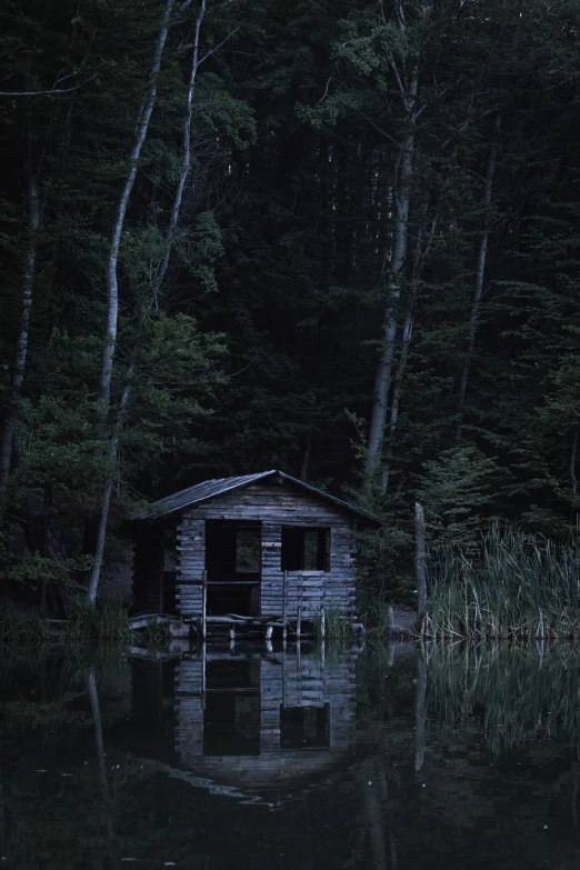 a cabin in the middle of water surrounded by trees