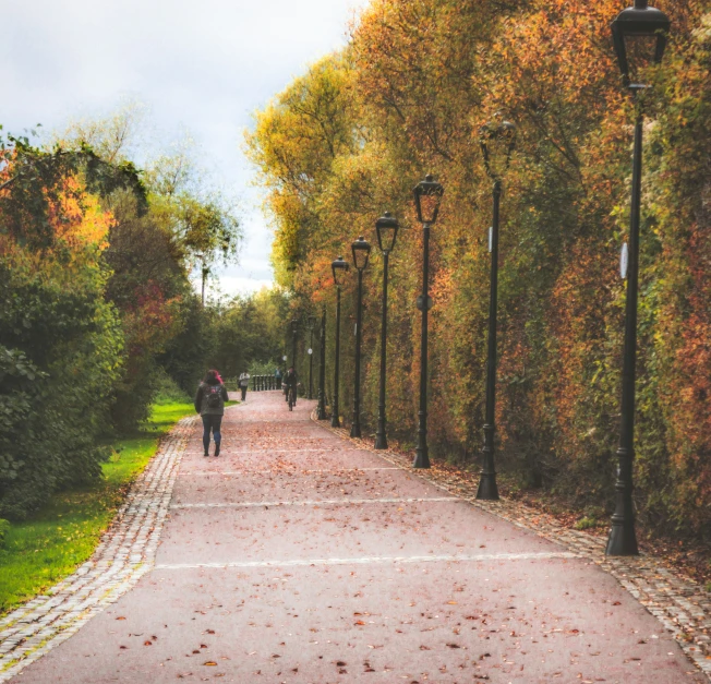 people walking down a pathway next to trees