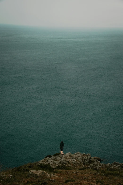 a bird standing on top of a hill next to the ocean