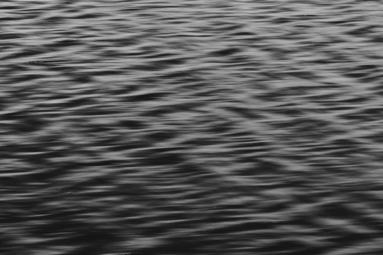 a black and white po of water on the lake