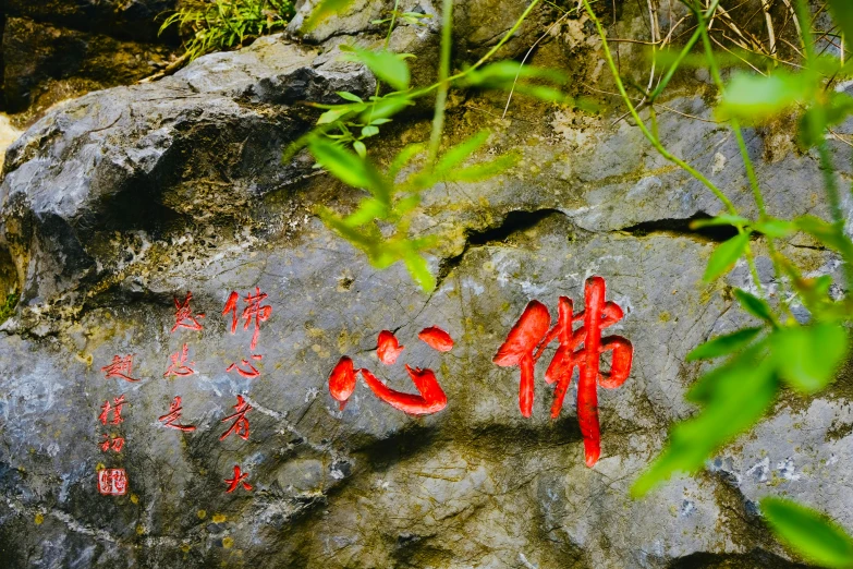 a sign that is on a rock near trees