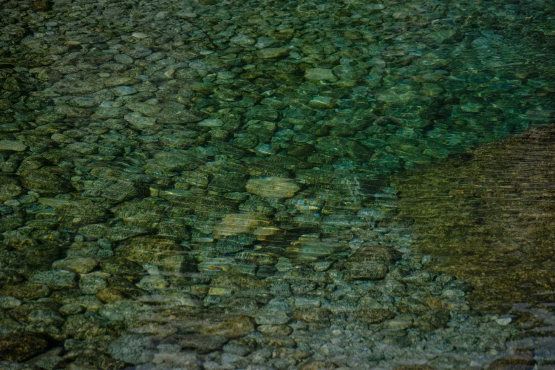 the water looks like rocks under a tree