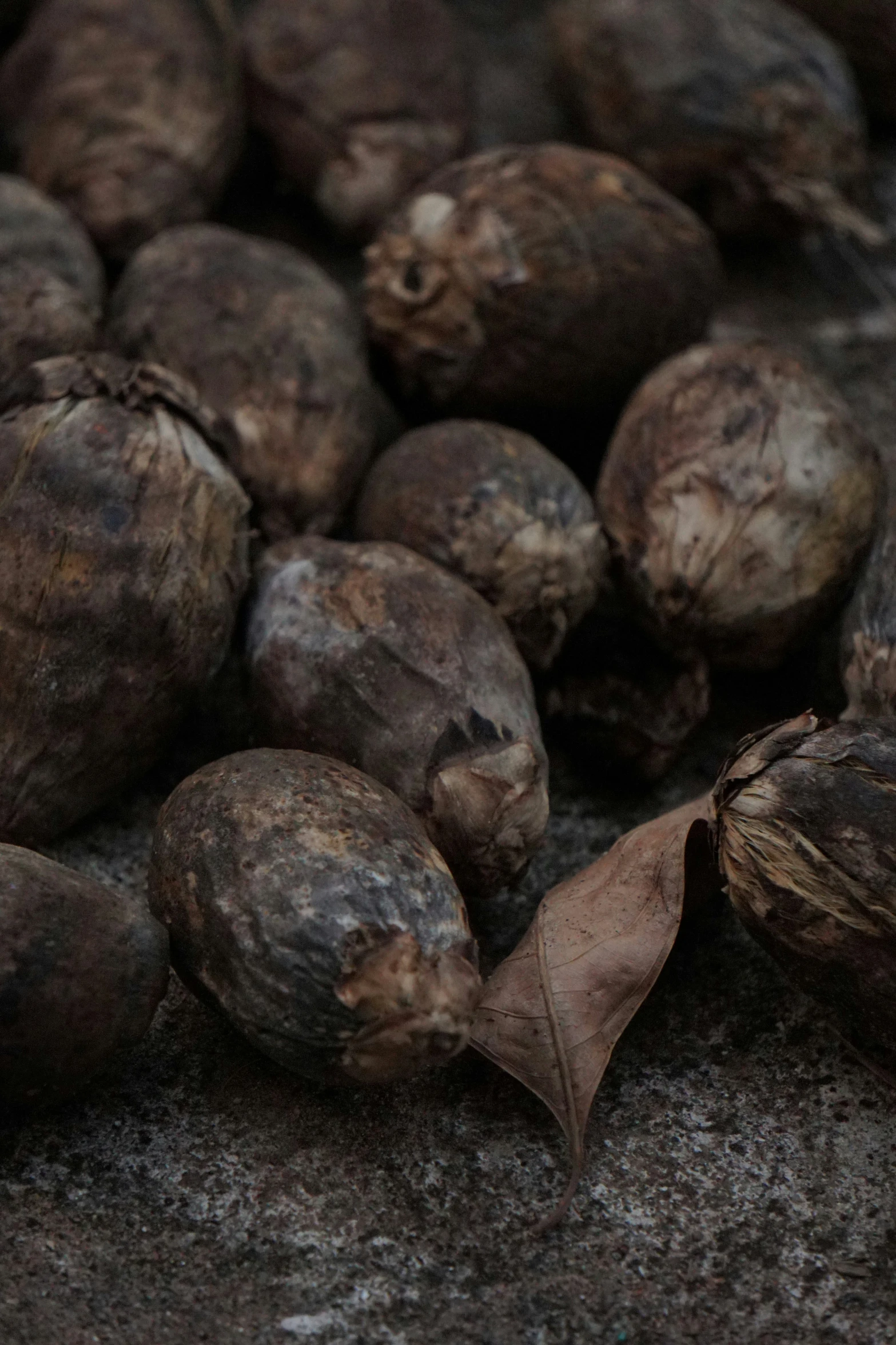 a pile of nut shells with one shell missing