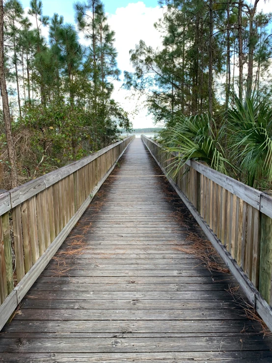 a long wooden walkway surrounded by wooded areas