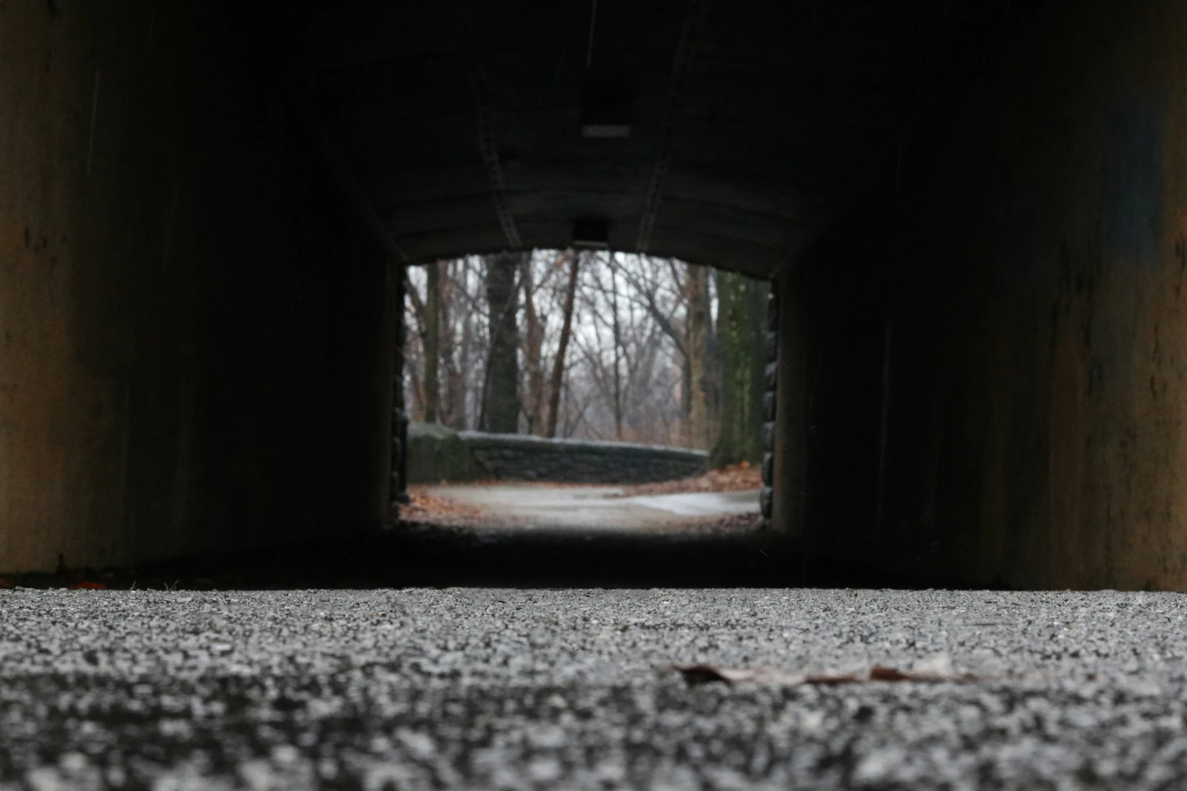 a dark tunnel over looking a road, and with trees at both sides