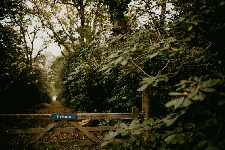 there is a wooden fence next to the road