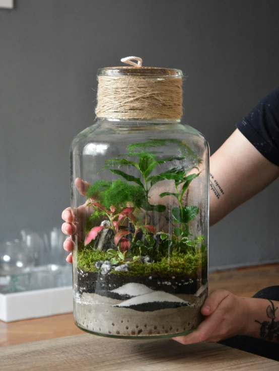 person holding up a clear jar with some green plants