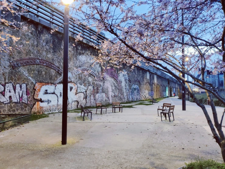 this is a park with benches, tables and trees