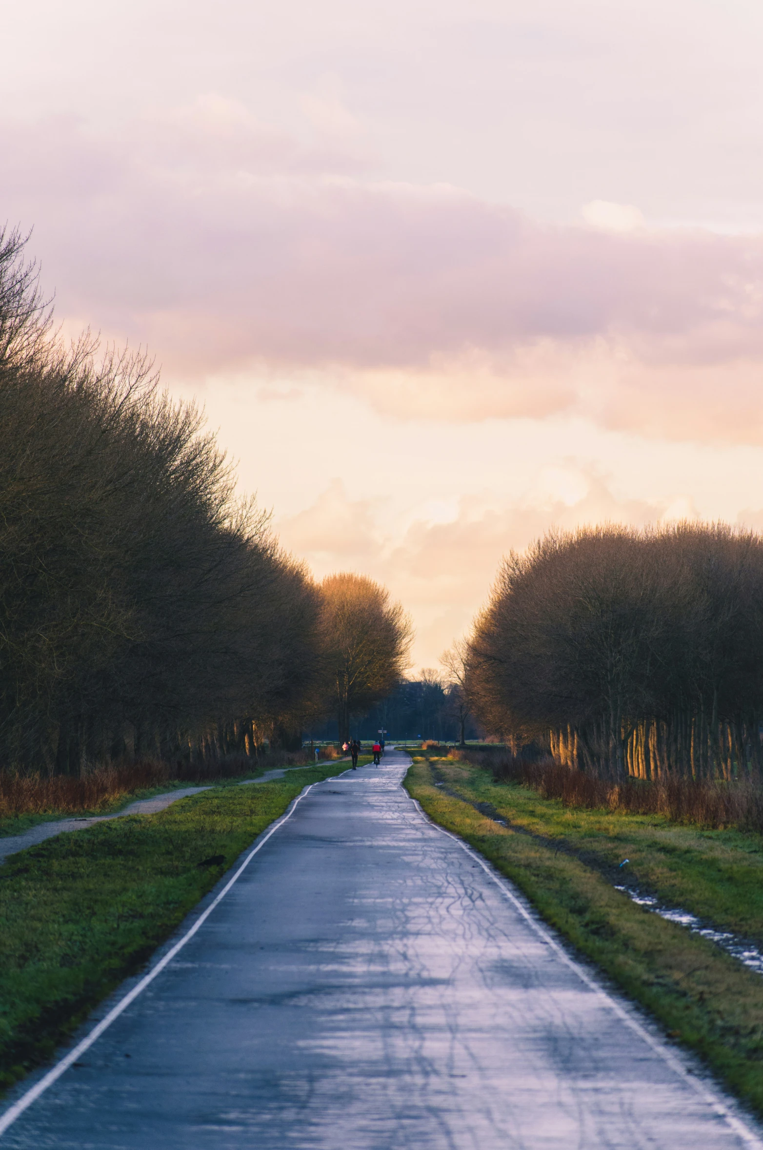 a road between the grass and trees with people walking on either side