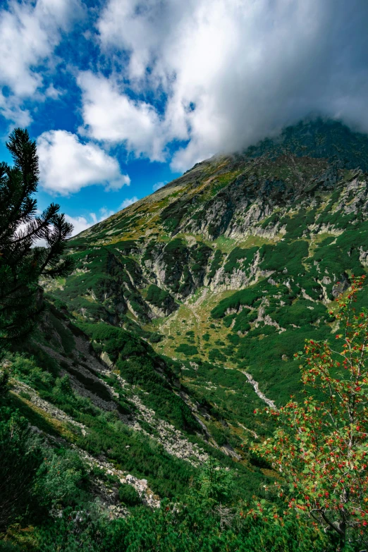 a hillside with trees and clouds over it