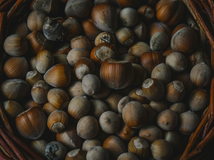 a basket of various types of nuts with nuts all inside