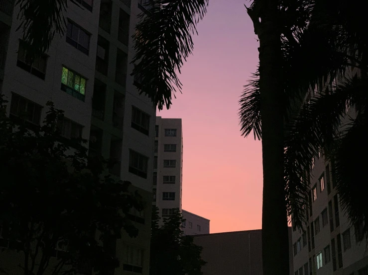 the pink sky is rising above buildings on a street