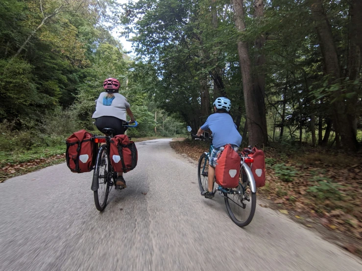 two men riding bikes down a forest road