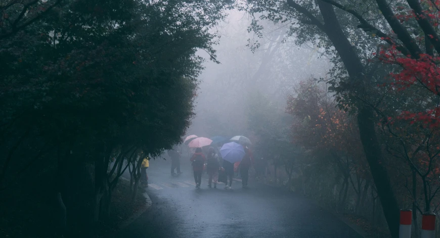 a group of people walking down a road in the rain
