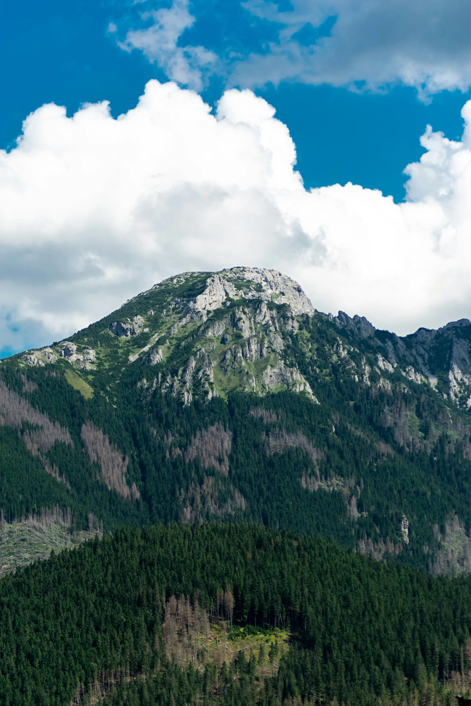 the mountain is covered in lots of snow