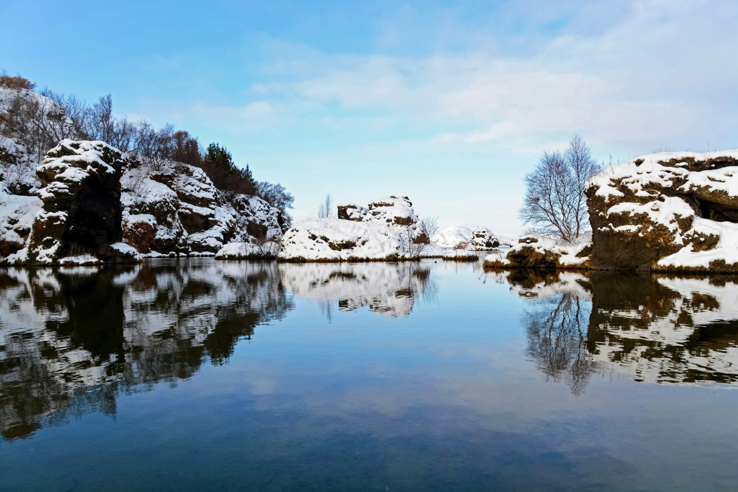 an image of a scenic pond near some snow covered trees