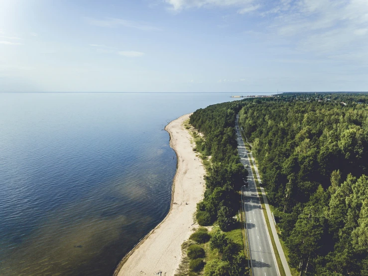 a long stretch of road running through a lush green forest