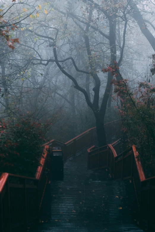 a bridge surrounded by fog and trees on a rainy day