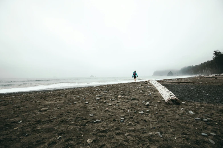 a lone person standing near the ocean looking out