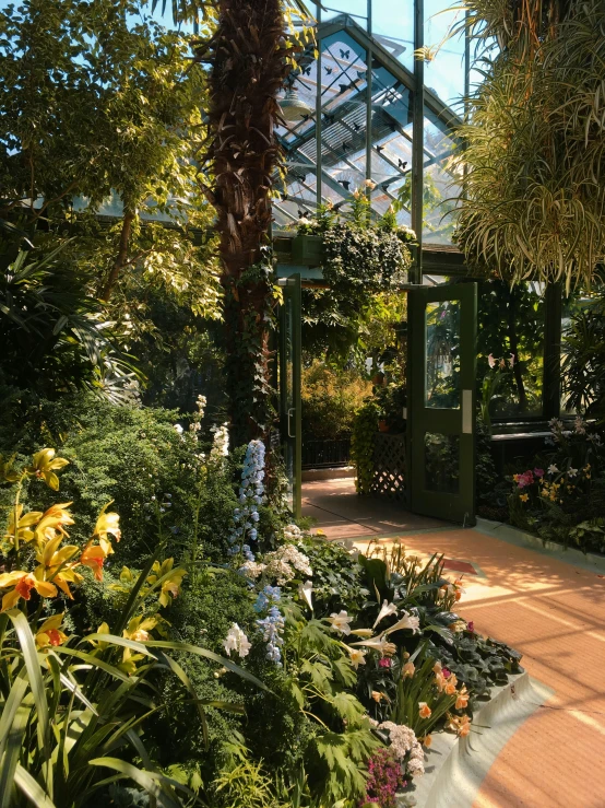 a walkway near some palm trees and lots of flowers