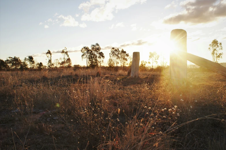 the sun is peeking through a fence post