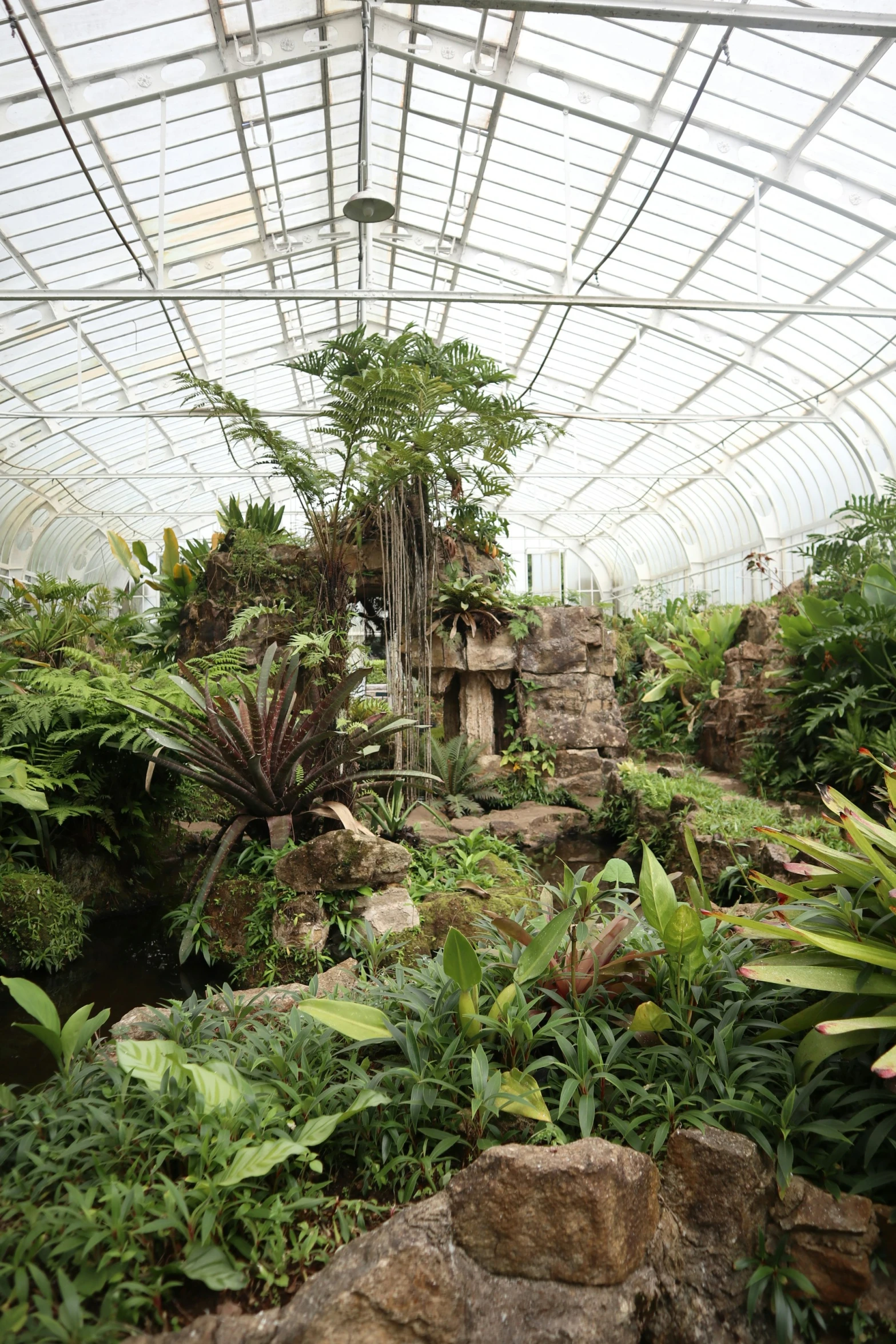 a very large plant house with a large glass ceiling