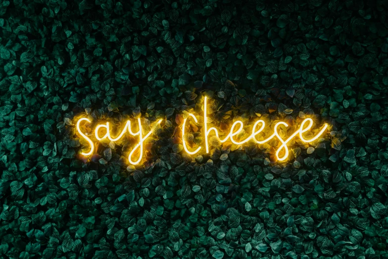 say cheese in glowing text on textured wall