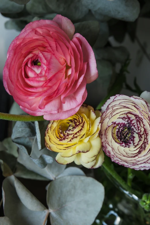 two different types of flowers sitting in a vase