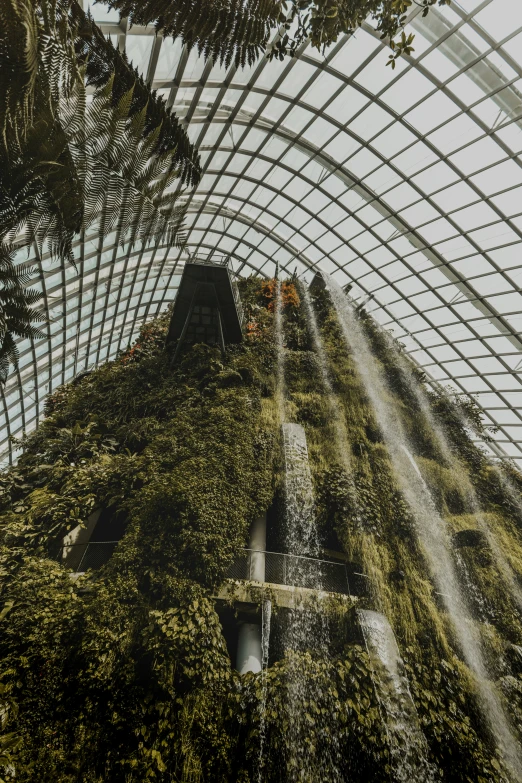 the inside of a building covered in trees and vines