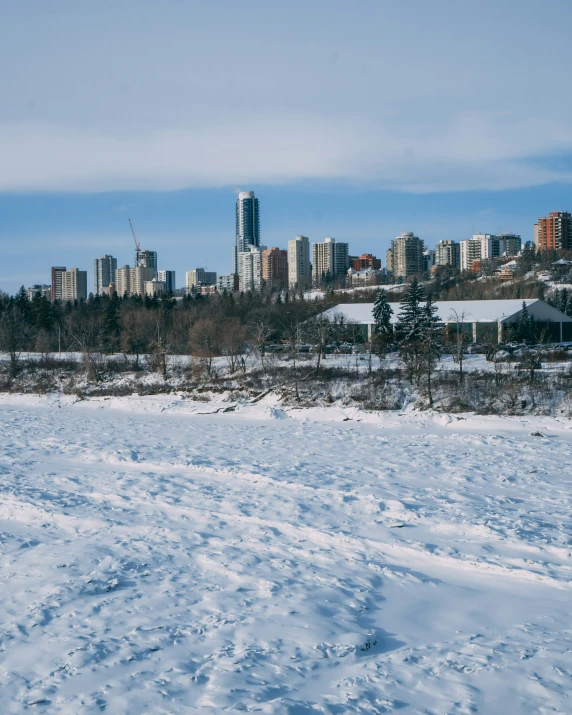 a very big city and some trees in the snow