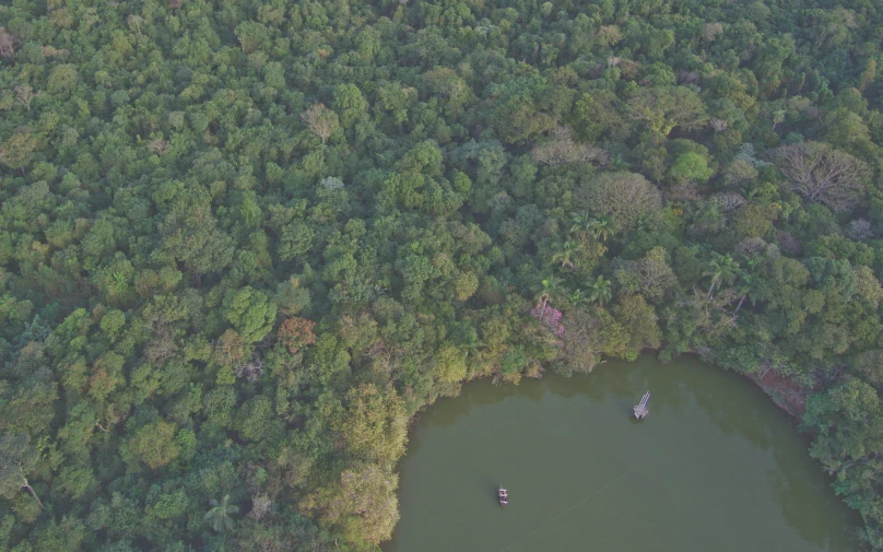 three people para sailing through a green forest