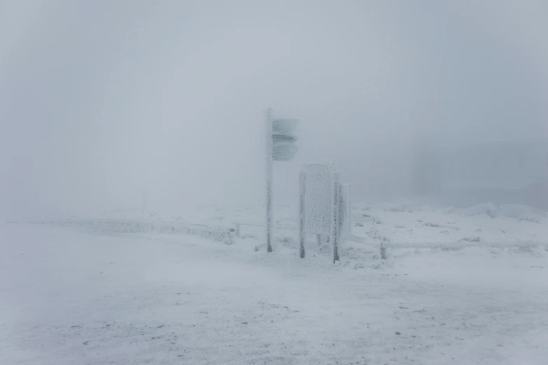 a snowy day with street signs, poles and bushes