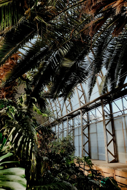 a greenhouse full of lots of plants inside