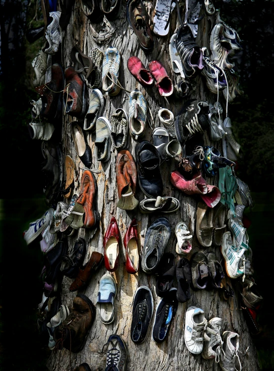 there are many pairs of shoes on the tree