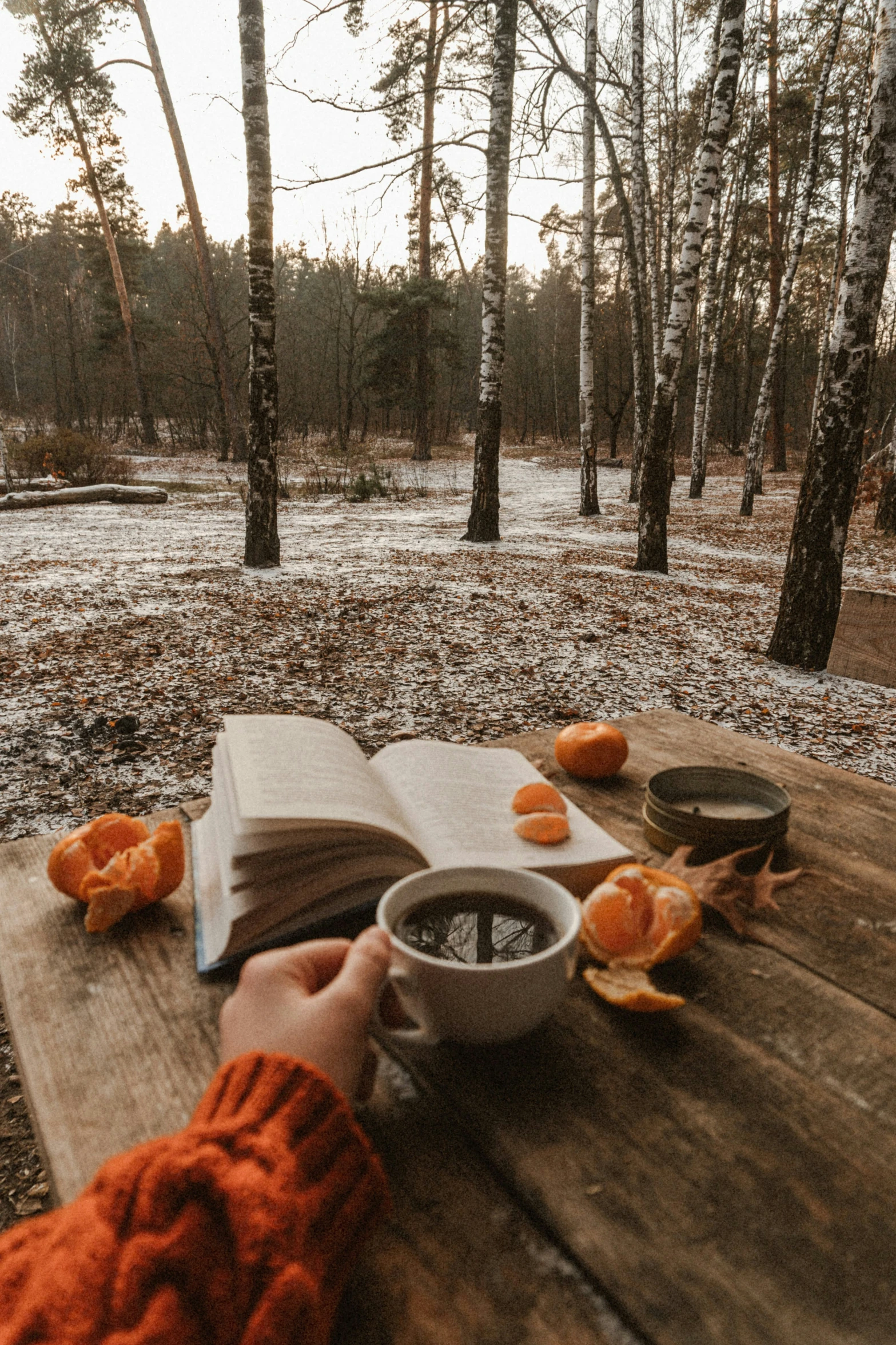 a person is sitting on a bench in the woods