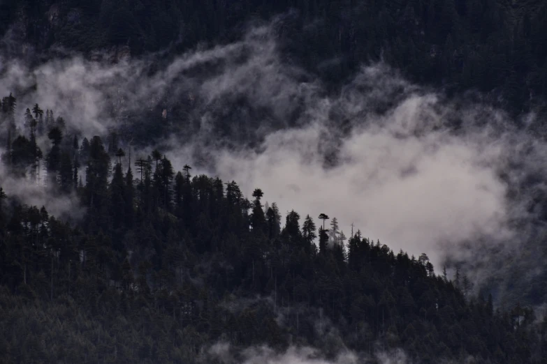 the mountain in the fog is very dense