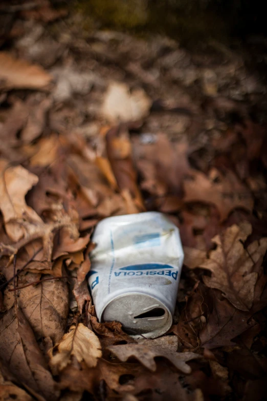 a broken plastic soda bottle laying in leaves