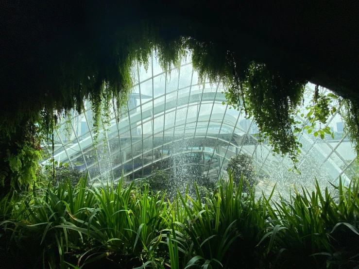 water falls from a large building with many plants in the foreground