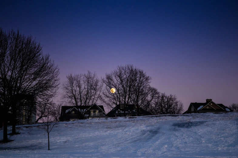 a snowy landscape with a few houses and trees in the background