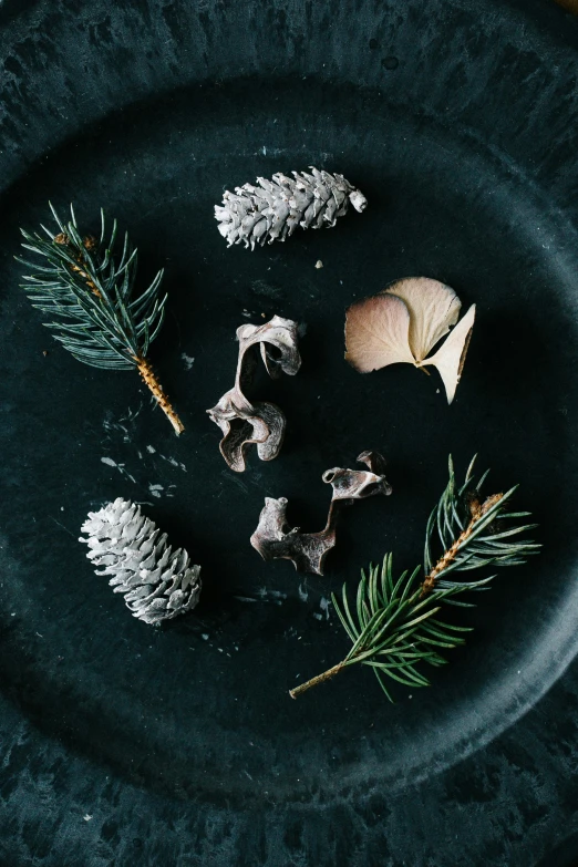 some type of food sitting on a plate with pine and snow on it