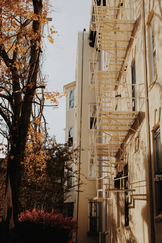 the fire escapes are on the side of the building