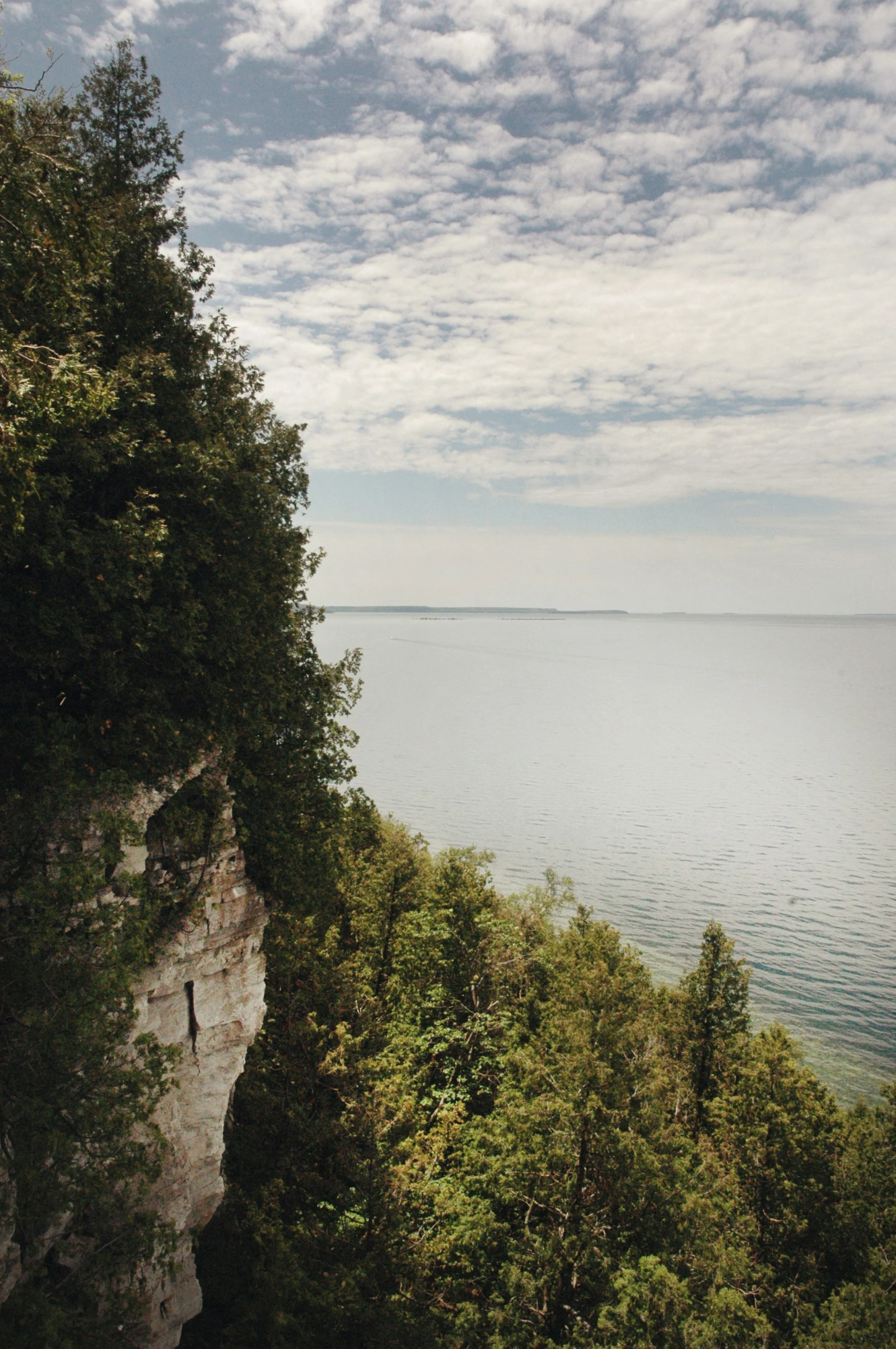 the landscape features water, a forest and mountains