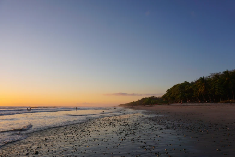 a sandy beach covered in lots of seaweed at sunset